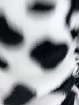 Snapshot of sandylau chatting on February 6, 1:23 am sandylau online show from February 6, 1:23 am