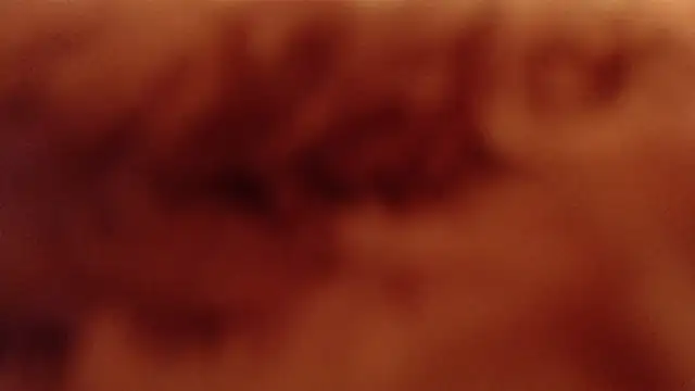 larawet online show from January 4, 11:17 pm