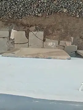 Snapshot of Big_boss_ind chatting on March 21, 1:04 pm Big boss ind online show from March 21, 1:04 pm