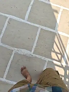 Big boss ind online show from November 30, 5:30 am