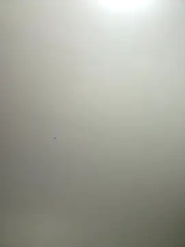 Snapshot of itsCassie chatting on December 17, 2:55 pm itsCassie online show from December 17, 2:55 pm