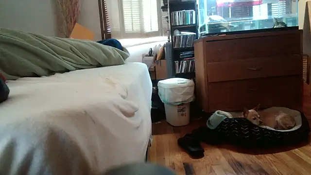 jumpingtomflash online show from April 16, 2:01 am