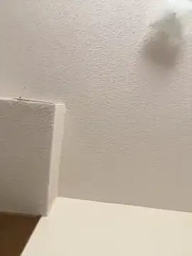 cumgitsumdic online show from February 3, 7:10 pm