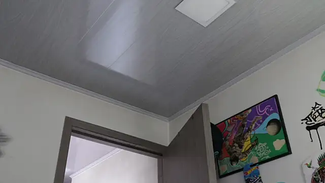 Snapshot of trieone chatting on February 20, 3:03 pm trieone online show from February 20, 3:03 pm