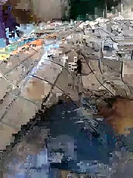 Dharmarexh online show from May 14, 5:48 am