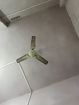 Snapshot of Dogol1990 chatting on December 15, 6:19 am Dogol1990 online show from December 15, 6:19 am