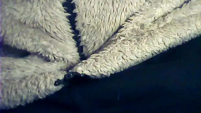 kalinixta online show from January 6, 6:45 pm