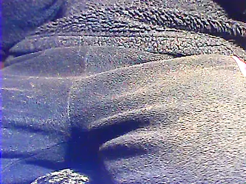 kalinixta online show from January 26, 8:45 pm