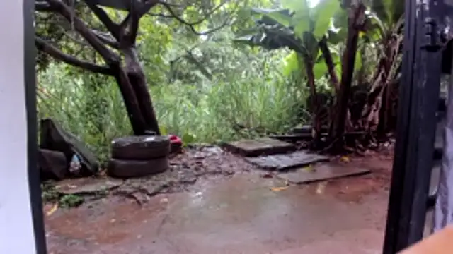 venusandzeusxh online show from October 27, 1:23 pm