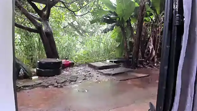 venusandzeusxh online show from December 2, 1:13 pm