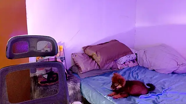 SweetLilly 18 online show from November 2, 2:22 pm