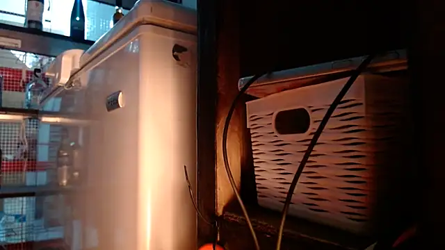 DAELAA online show from November 10, 11:10 pm