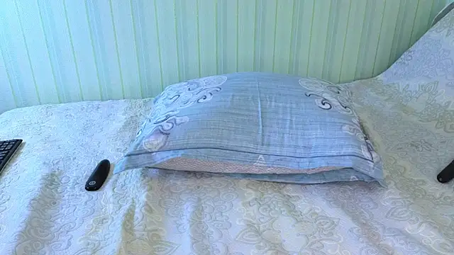 Snapshot of _Lily_ chatting on February 4, 11:16 am Lily online show from February 4, 11:16 am