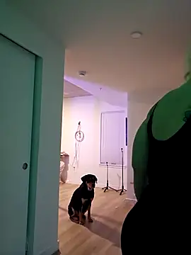 NikiFm online show from November 23, 5:17 am