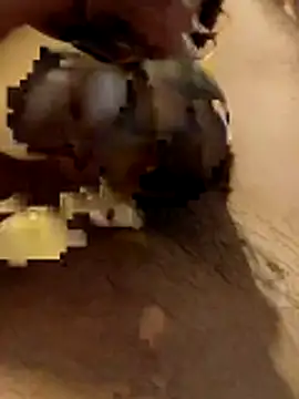 hq9870a online show from November 29, 5:51 am