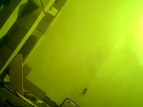 god23free online show from February 23, 3:51 pm