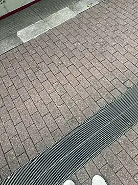 Snapshot of Lionayowe chatting on September 27, 1:17 pm Lionayowe online show from September 27, 1:17 pm