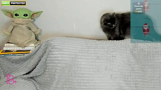 Snapshot of 3ight33nplus chatting on December 22, 7:31 pm 3ight33nplus online show from December 22, 7:31 pm