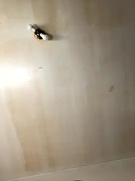 Tristris100 online show from November 19, 3:56 pm