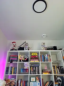 LilyOrion online show from February 6, 8:05 pm