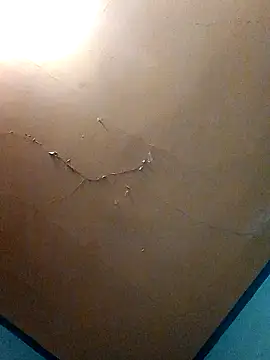 Bwc4u2Ride online show from December 5, 8:46 am