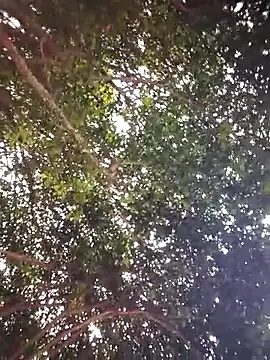 Brenda Berck  online show from April 5, 12:56 pm