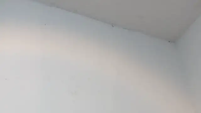 dalilasquirt1 online show from February 11, 7:47 pm