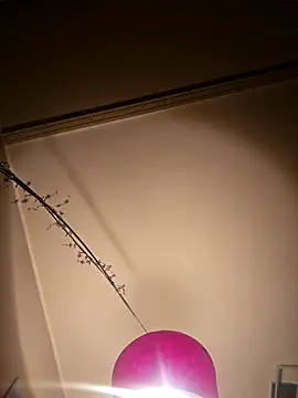 NiceHunter89 online show from February 5, 10:22 pm