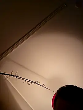 NiceHunter89 online show from February 18, 5:20 pm