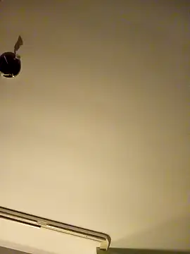 NiceHunter89 online show from January 26, 2:45 am