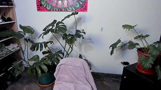 handipandapok online show from March 17, 9:24 pm