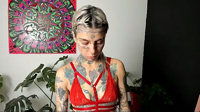 handipandapok online show from March 9, 3:22 am
