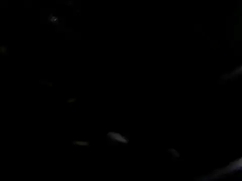 giga-bite online show from October 10, 3:46 pm