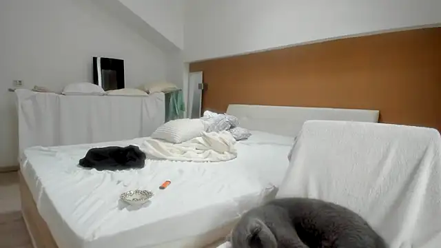 woolfiie online show from October 16, 8:33 am