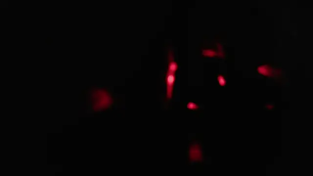 Snapshot of Ramirolove13 chatting on November 14, 11:08 pm Ramirolove13 online show from November 14, 11:08 pm