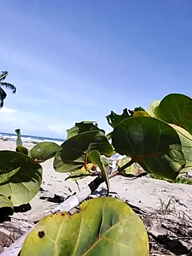 Snapshot of Luna-Natural chatting on December 14, 4:23 pm Luna-Natural online show from December 14, 4:23 pm