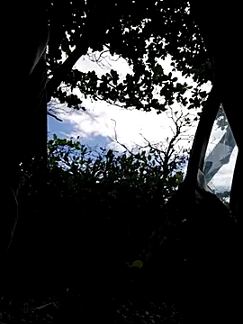 Luna-Natural online show from December 21, 6:31 pm