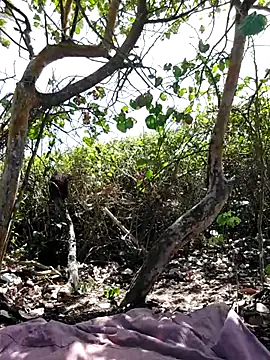 Snapshot of Luna-Natural chatting on October 13, 4:08 pm Luna-Natural online show from October 13, 4:08 pm