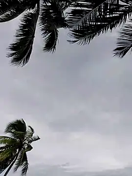 Snapshot of Luna-Natural chatting on November 29, 5:24 pm Luna-Natural online show from November 29, 5:24 pm