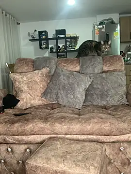 Snapshot of samanthaa_ chatting on September 24, 1:24 am samanthaa online show from September 24, 1:24 am