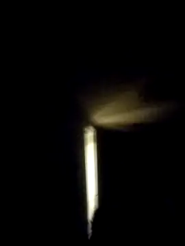 Snapshot of trucker1979 chatting on November 9, 8:07 am trucker1979 online show from November 9, 8:07 am