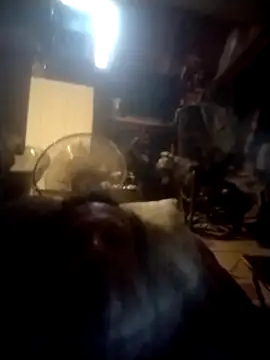 Snapshot of trucker1979 chatting on September 27, 10:54 am trucker1979 online show from September 27, 10:54 am