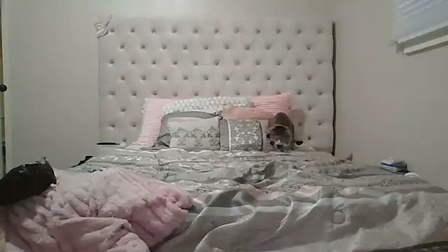 beautylovess online show from December 13, 8:04 pm