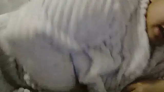 beautylovess online show from April 4, 6:53 am