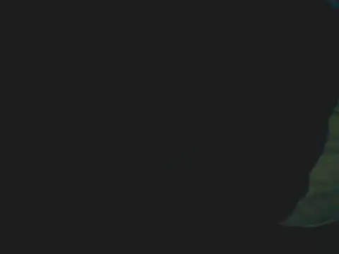 Snapshot of Latinjim29 chatting on December 15, 11:42 pm Latinjim29 online show from December 15, 11:42 pm