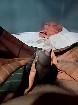 Nirmaana76 online show from February 15, 4:50 pm