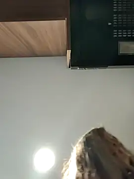 Snapshot of estrella_tasty chatting on July 10, 12:21 am estrella tasty online show from July 10, 12:21 am