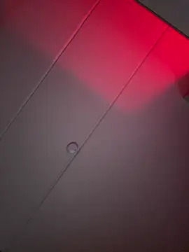 Amanita Bloom online show from January 16, 4:16 am