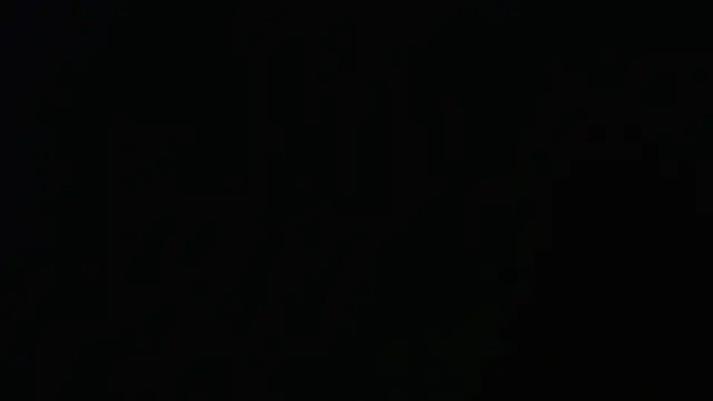 seeker797 online show from March 17, 2:14 am