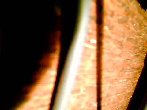 johnjohn622662 online show from November 12, 4:22 pm